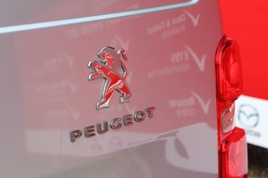 PEUGEOT EXPERT BLUE HDI PROFESSIONAL STANDARD - 2862 - 37